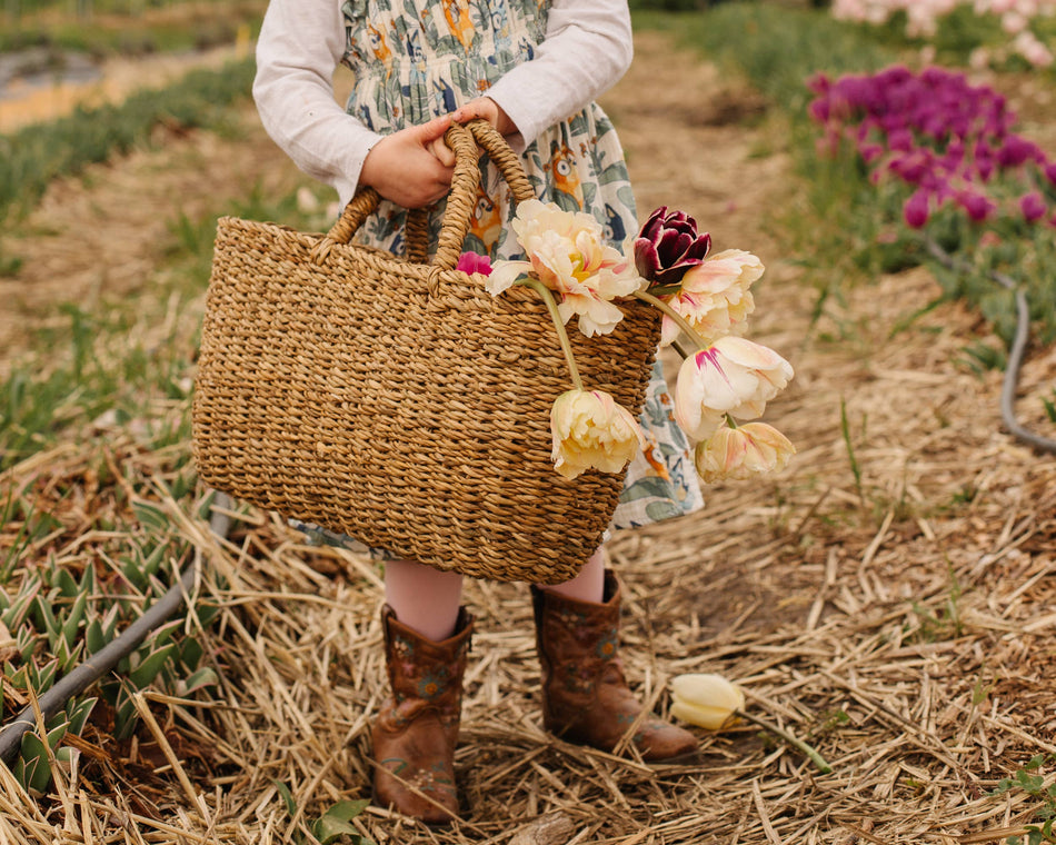 Oval Gathering Basket, harvest, three sizes
