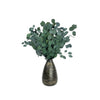 Silver Dollar Preserved Eucalyptus Green 8 Oz Bouquet