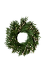 White Plum Berry Norfolk Cypress Real Touch Wreath - 24