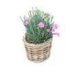 Rattan Planter Basket
