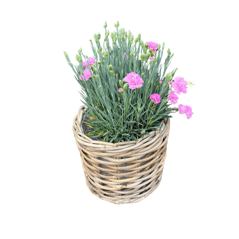 Rattan Planter Basket