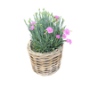 Rattan Planter Basket