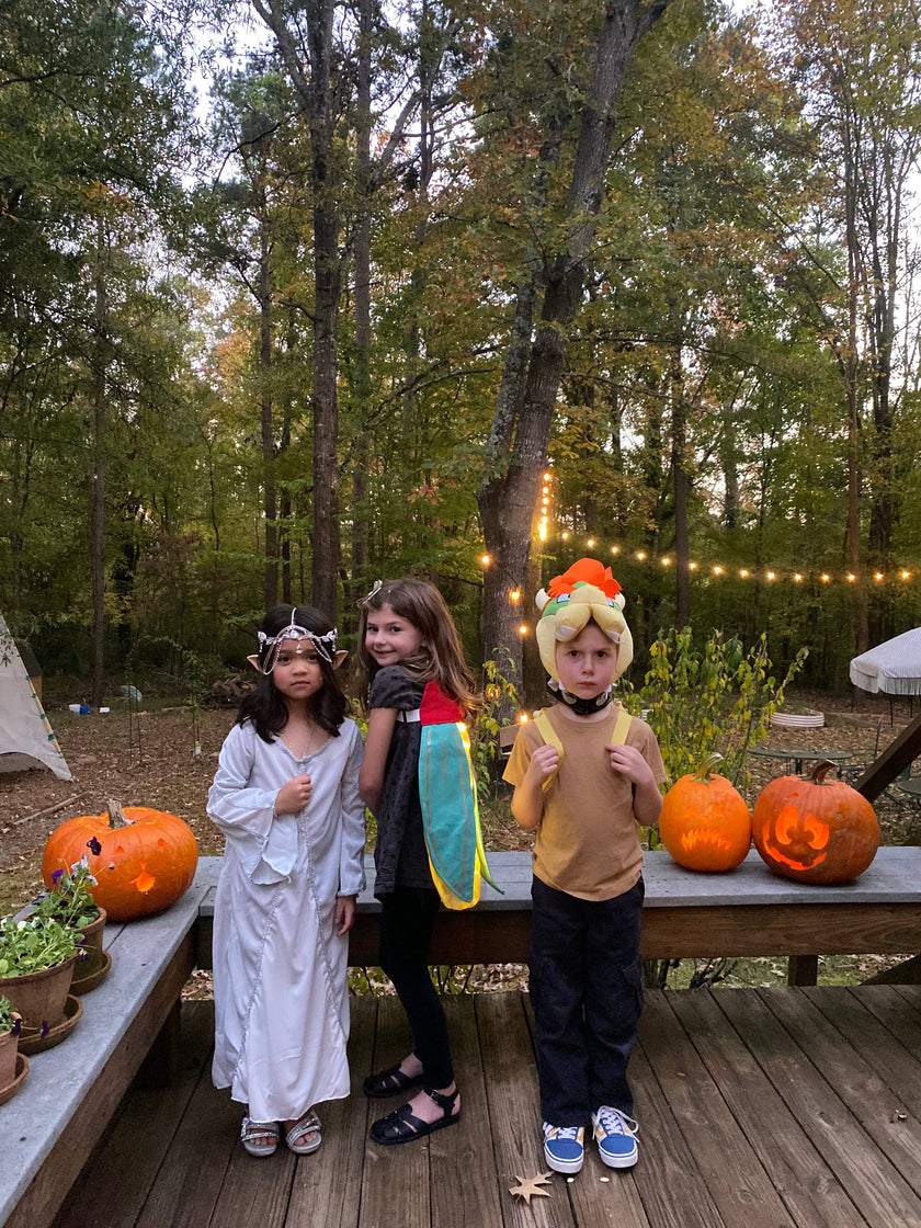 Firefly Costume Wings