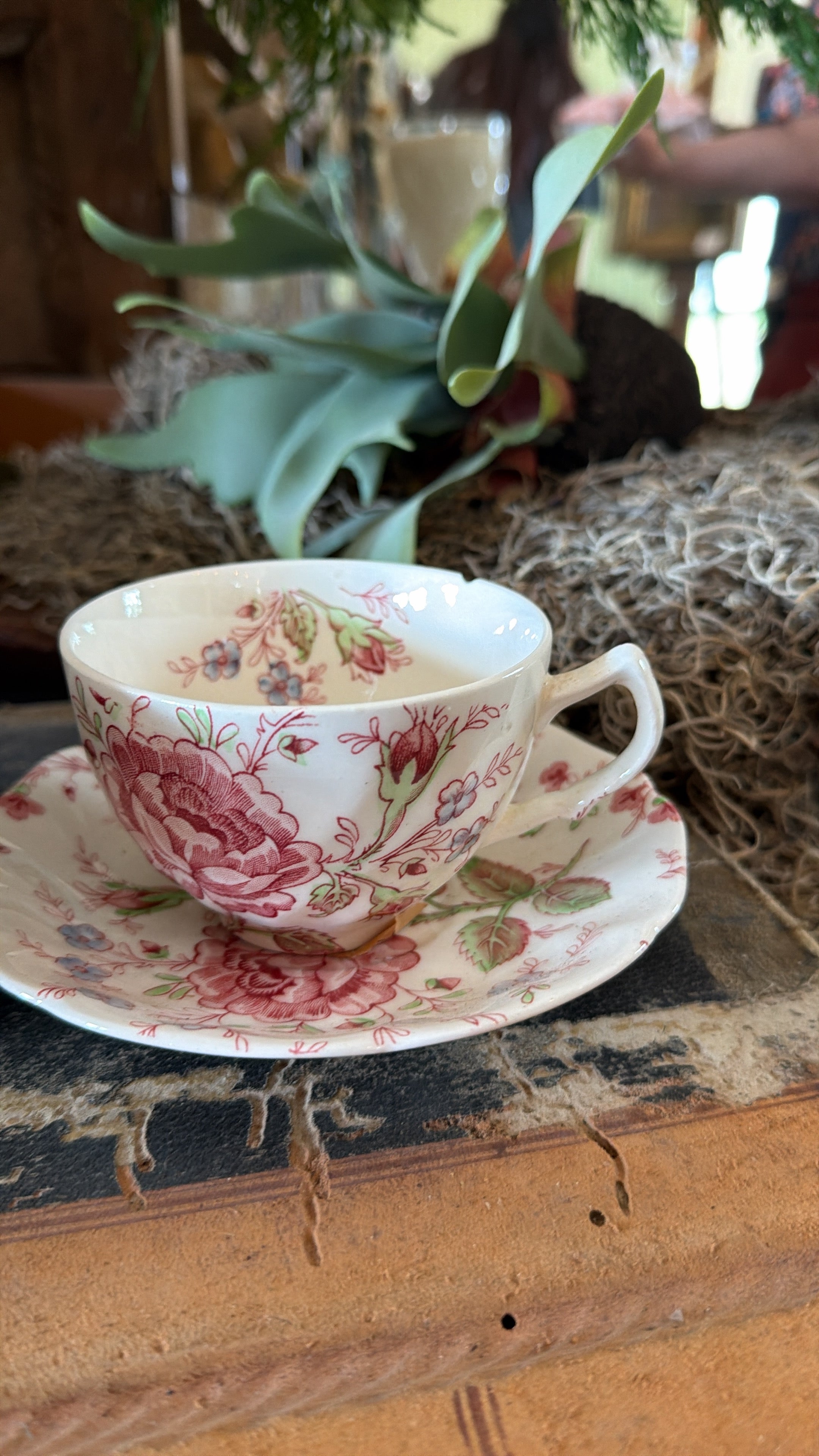 For Danelle (tea cup + saucer)