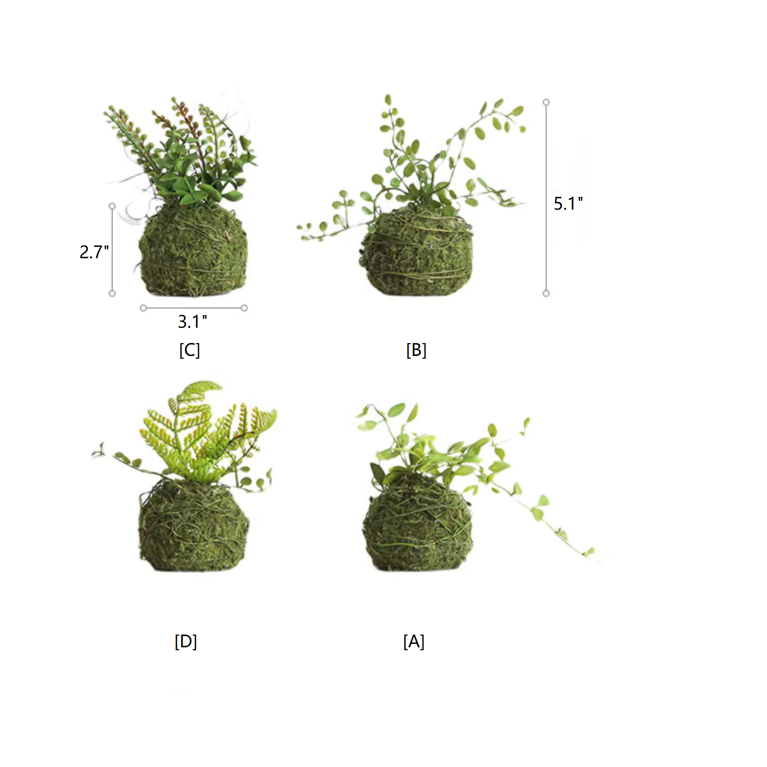 Mossy Meadow Foam Ball