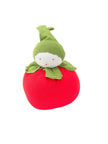 Organic Assorted Stuffed Fruits and Veggie Baby Toys