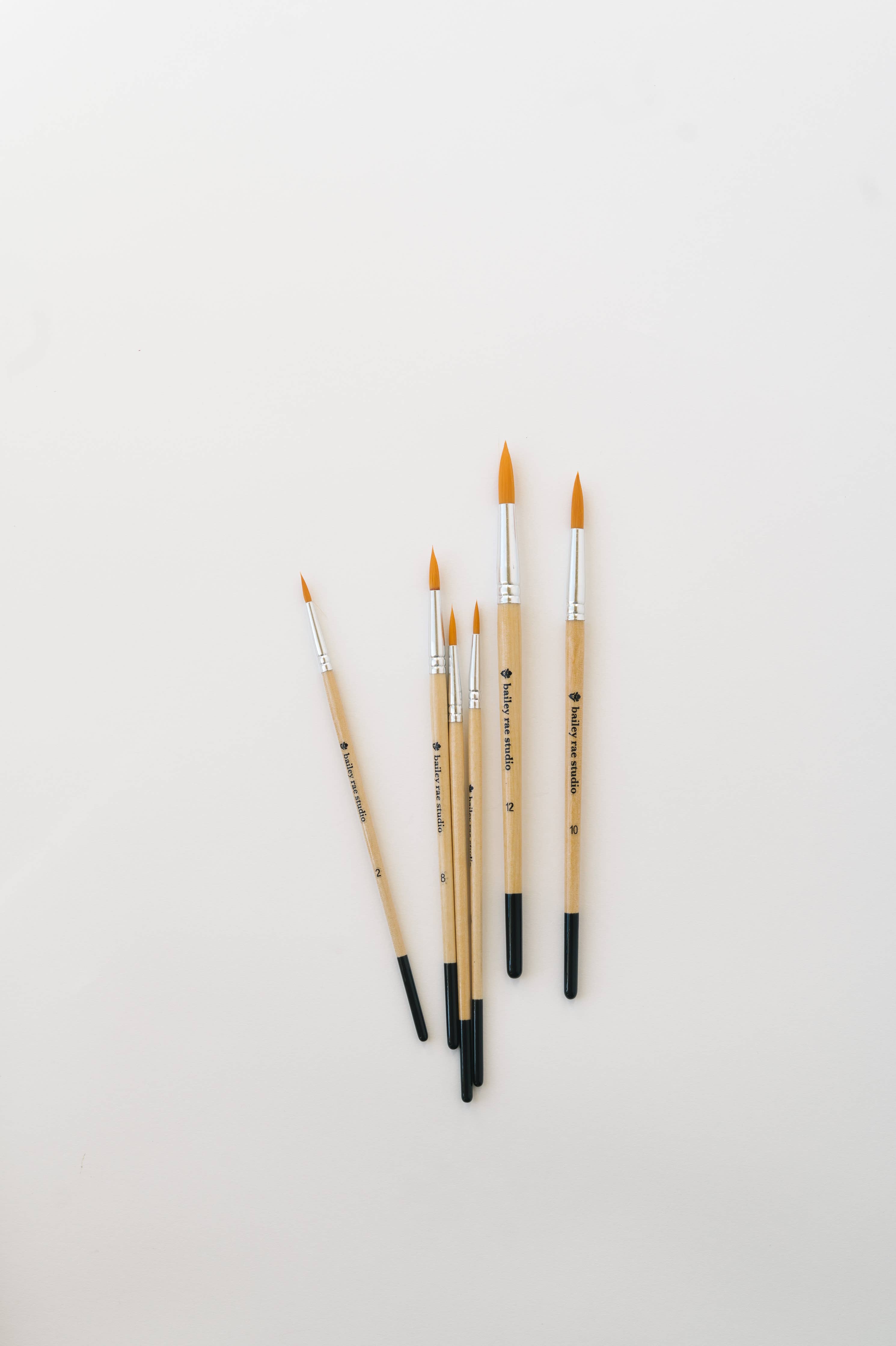 Round Tip Watercolor Brush Set -- 6 piece