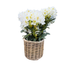 Rattan Planter Basket