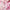 Radiant Peony Lip Balm 15 ml/0.50 floz