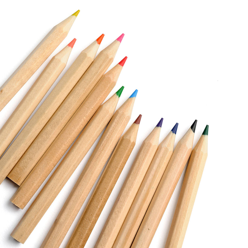 Colored Pencils - Tall & Travel Size - 12 Colors