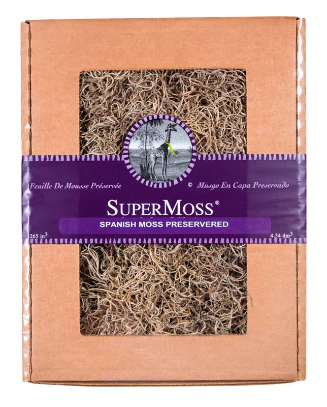 Spanish Moss Preserved 8oz