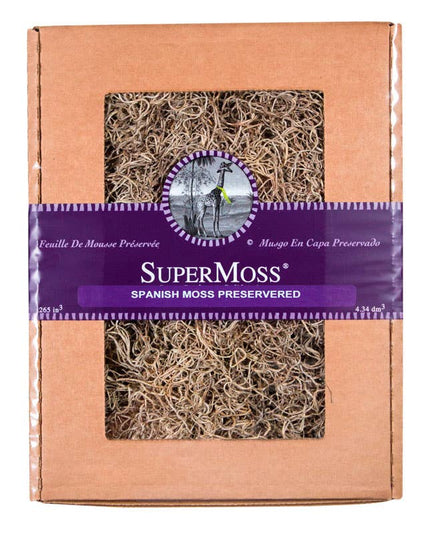 Spanish Moss Preserved 8oz
