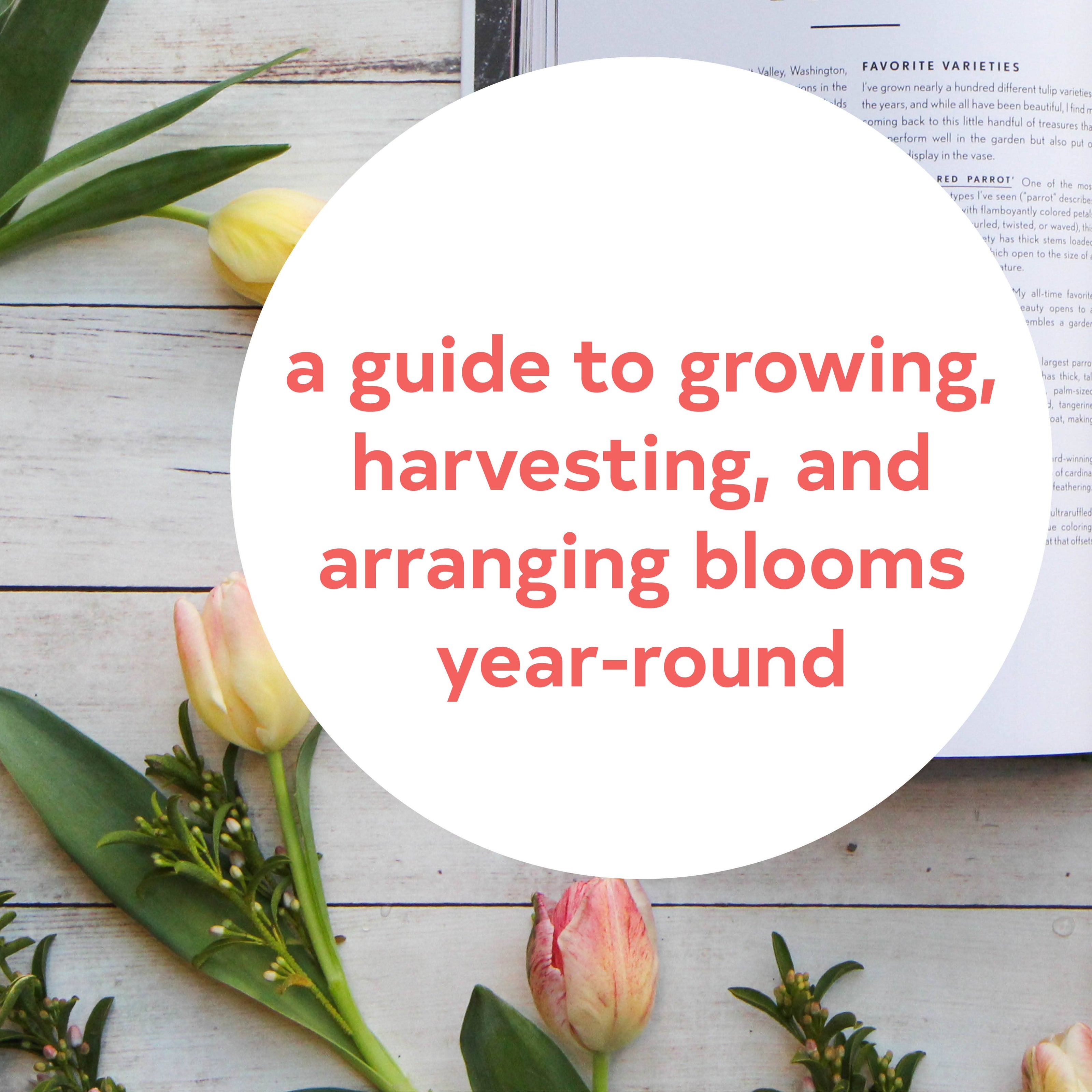 Floret Farm's Cut Flower Garden