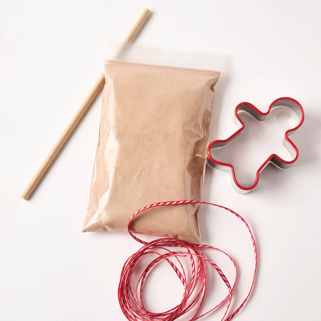 gingerbread ornament kit - case (HOLIDAY)