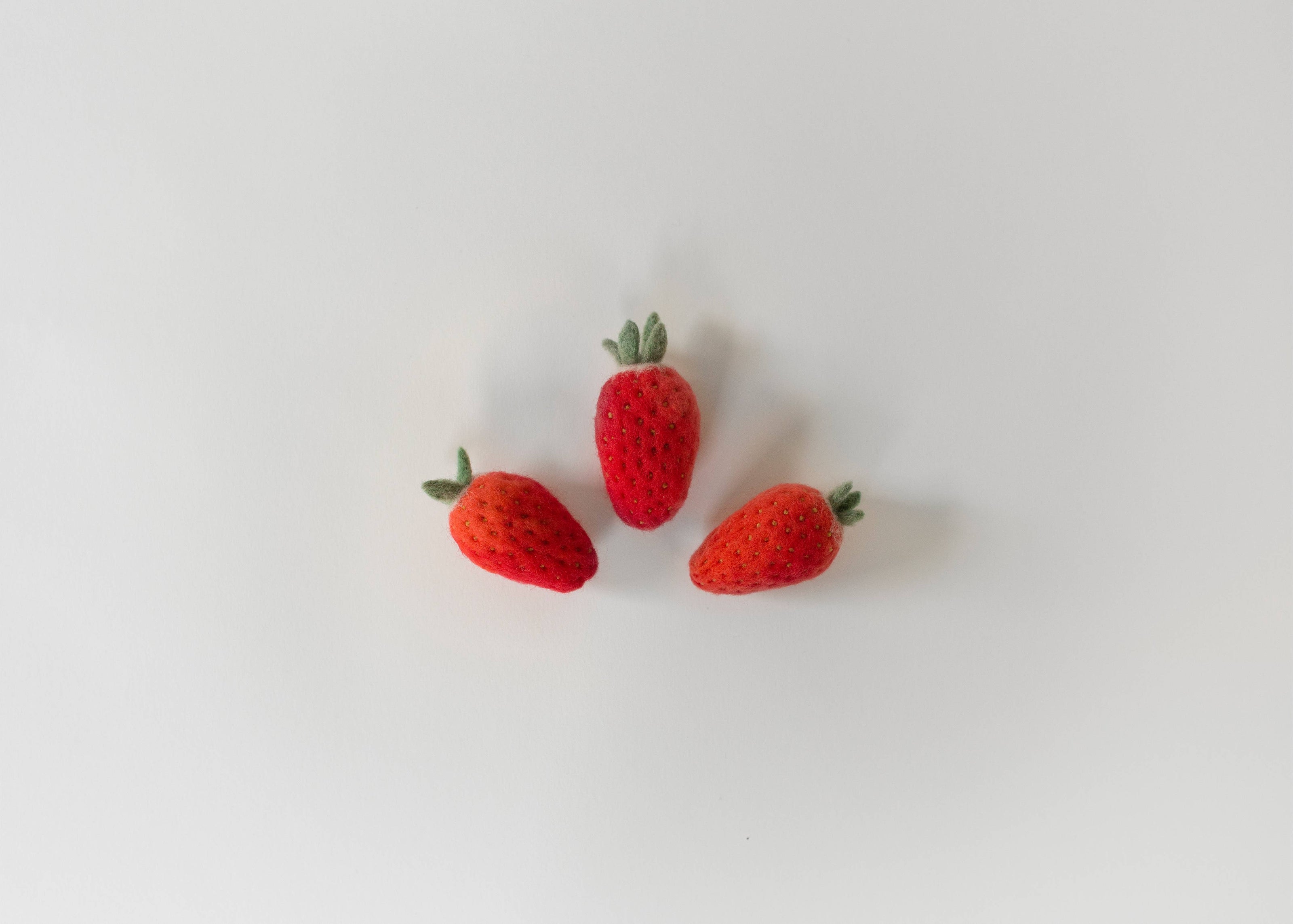 Needle Felting Kit - DIY - Strawberry