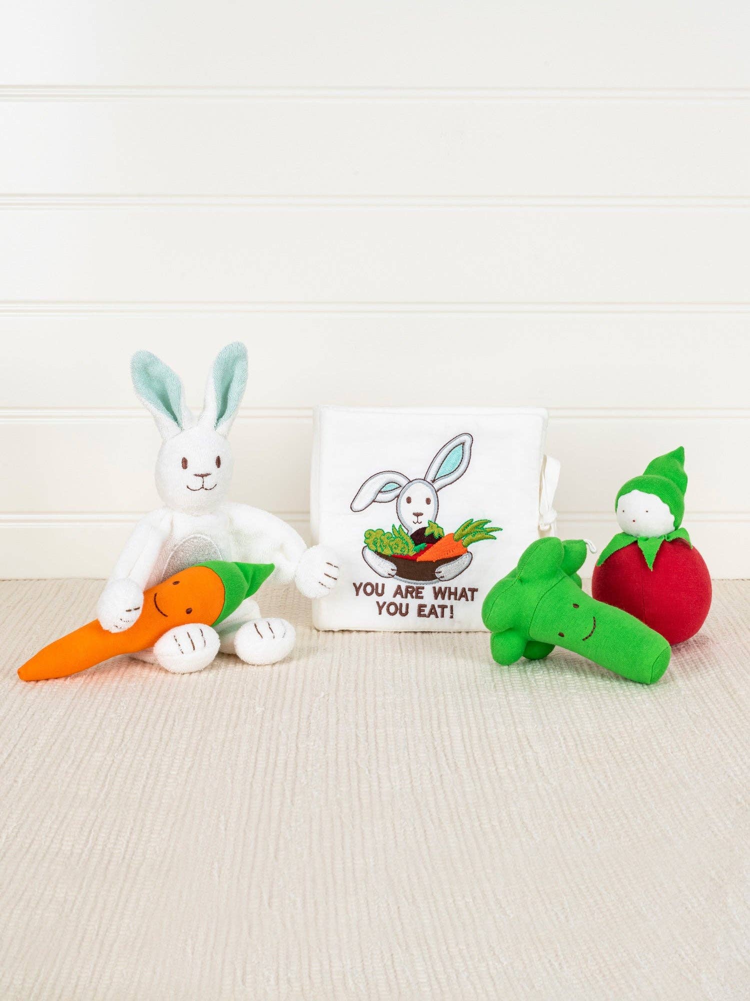 Carrot Veggie Toy