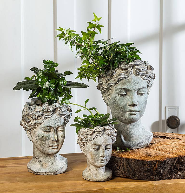 Xs Women Head Planter-6.5
