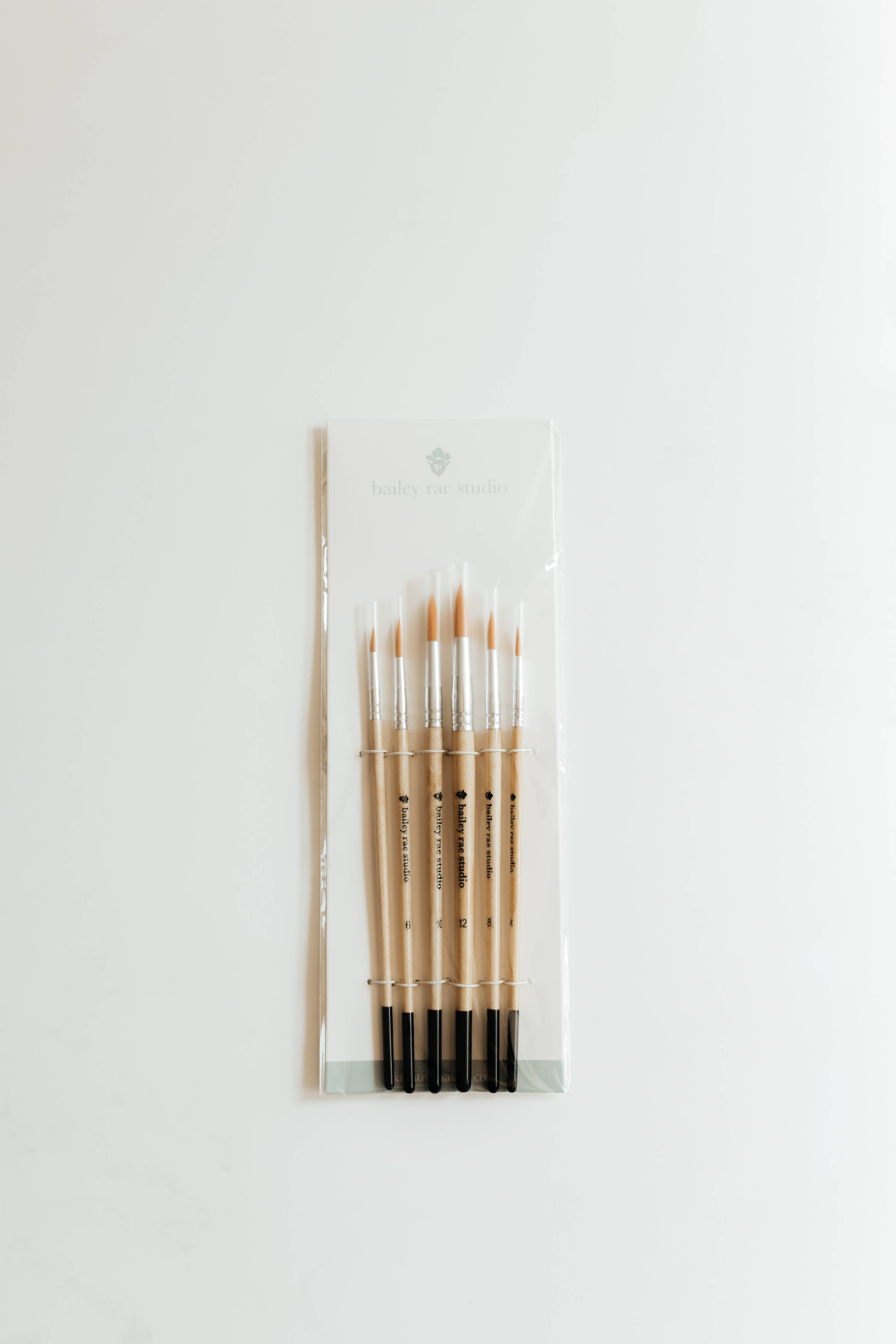 Round Tip Watercolor Brush Set -- 6 piece