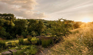 Wonderlands