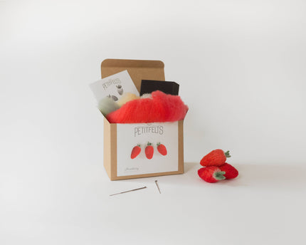 Needle Felting Kit - DIY - Strawberry