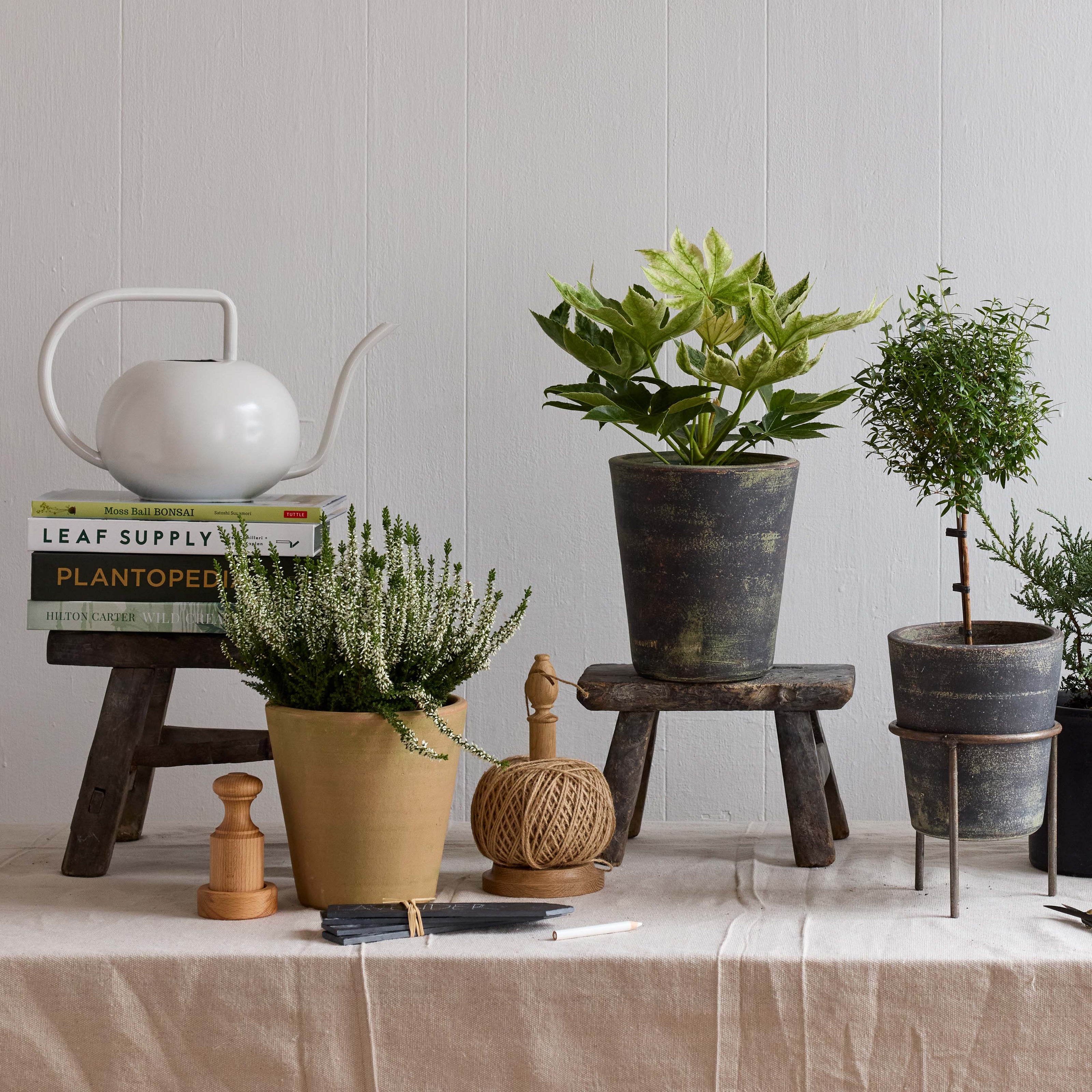 Studio Planter, Greenwash