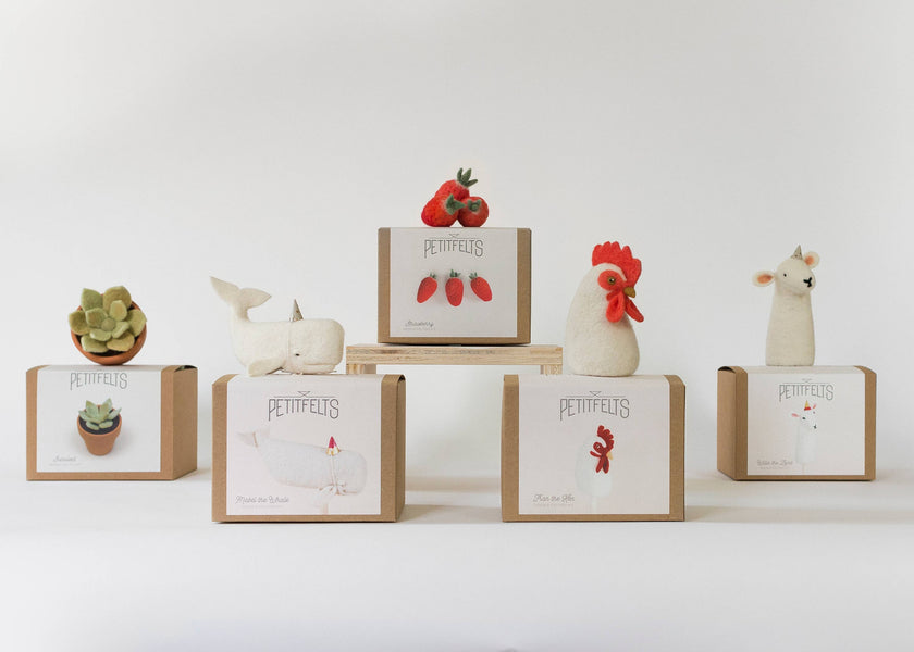 Needle Felting Kit - DIY - Strawberry