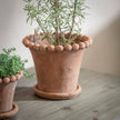 Layton Planter