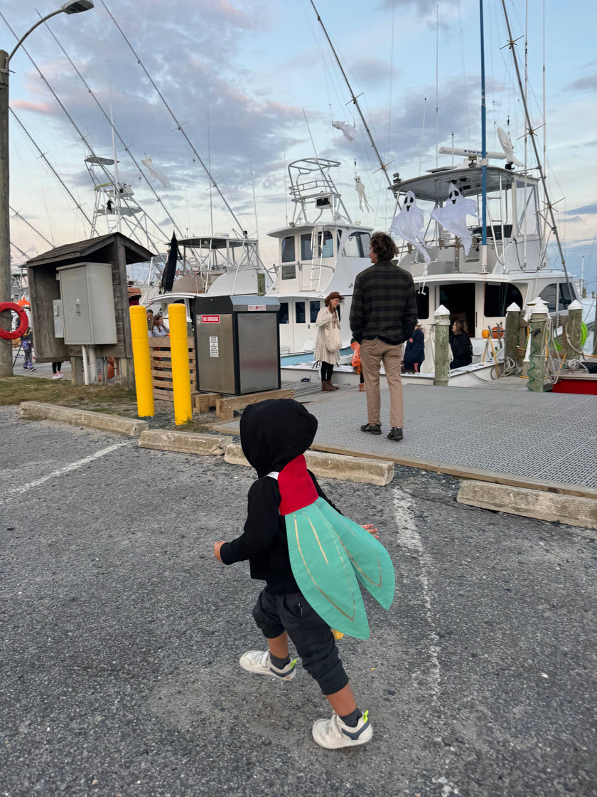 Firefly Costume Wings