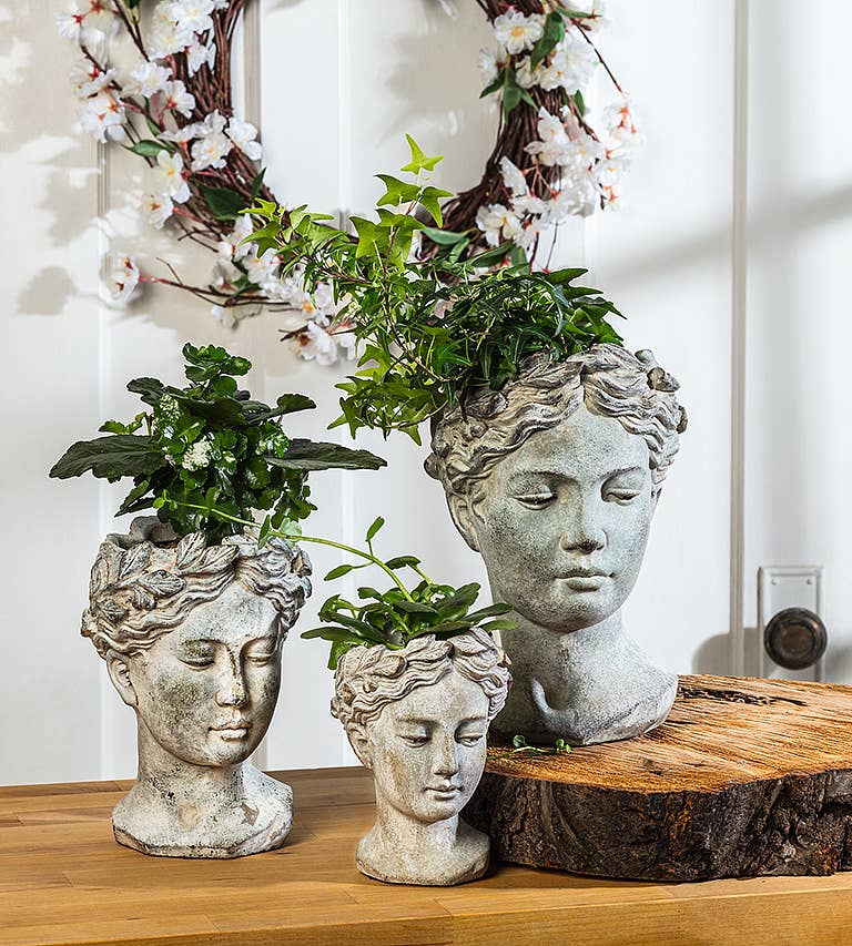 Xs Women Head Planter-6.5