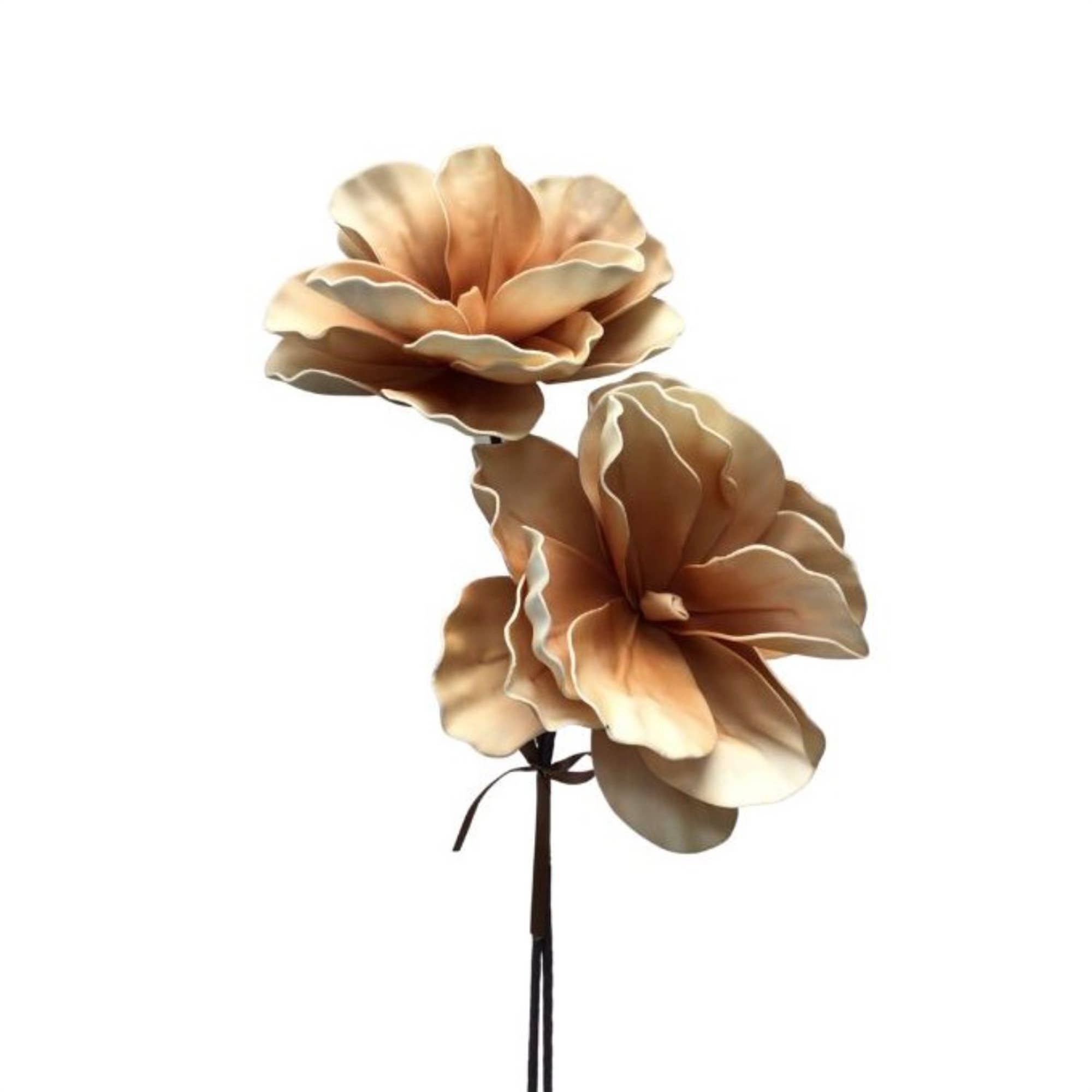 EVA Botanical saucer Magnolia Bundle X 2 Cream/Coffee 28''