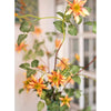 German Clematis Flower Stem in Orange 40