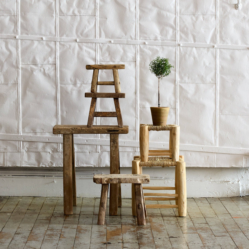 Studio Planter, Greenwash