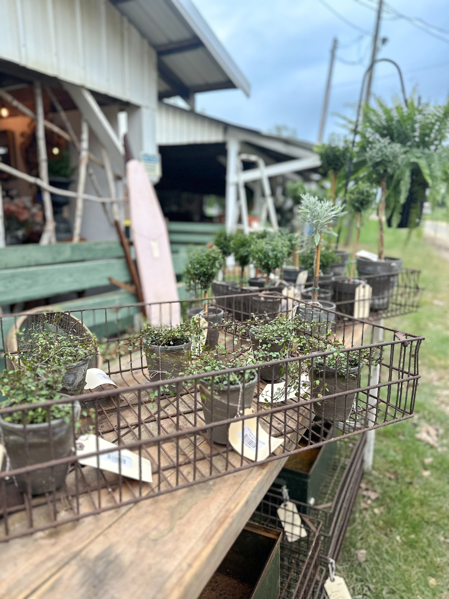 Hearth and Home Mercantile