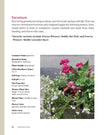 Bricks ‘n Blooms Guide / Beautiful & Easy Care Flower Garden