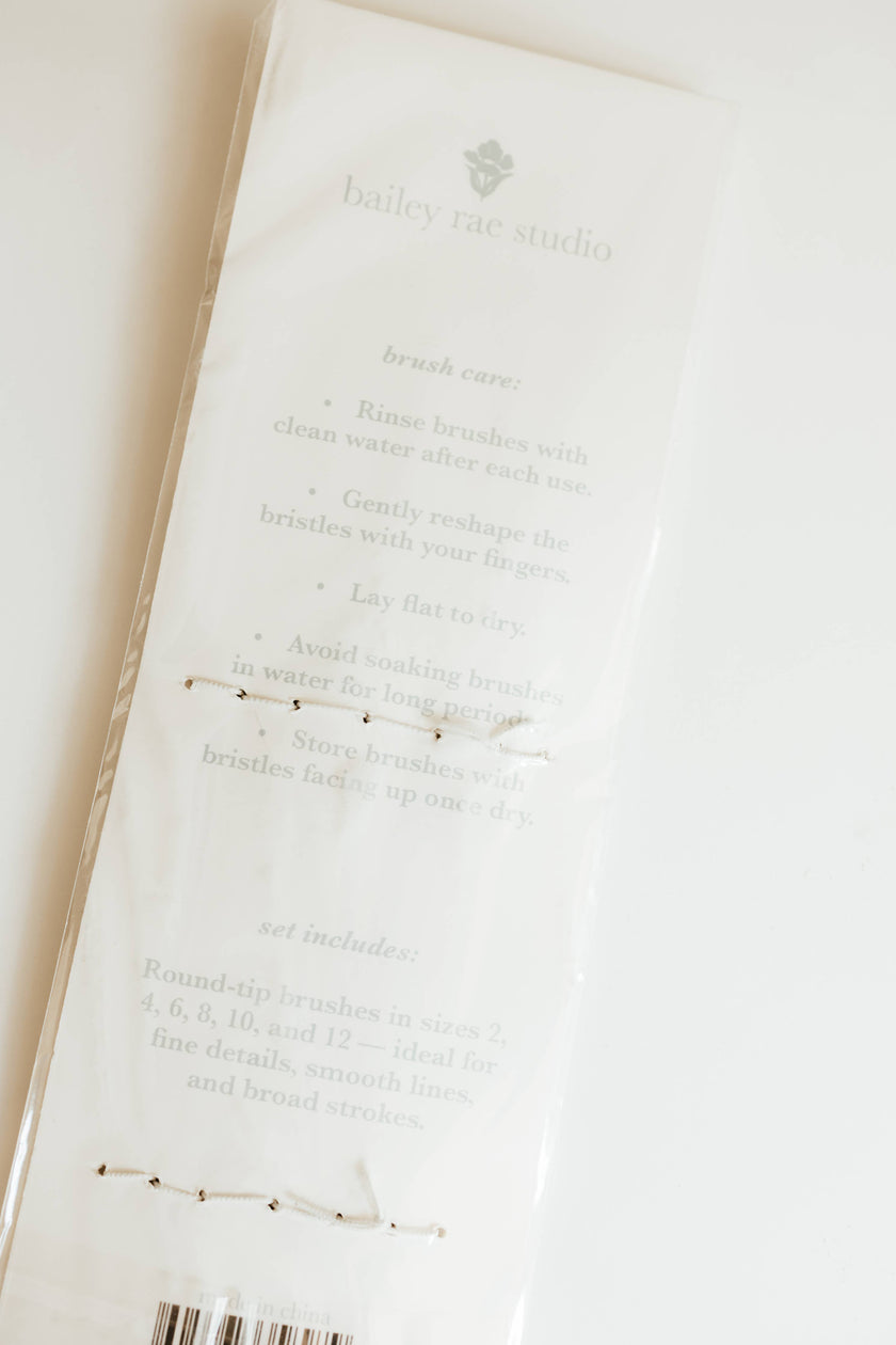 Round Tip Watercolor Brush Set -- 6 piece