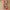 Miniland Doll 8 1/4'' dressed