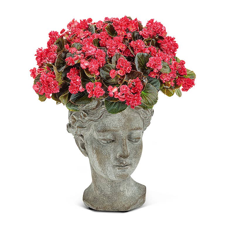 Xs Women Head Planter-6.5