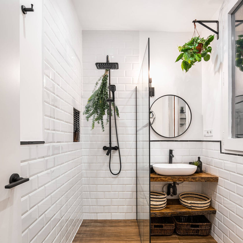 Fresh Baby Eucalyptus Pulverulenta 10 Stems Bunch