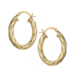 Oval Twist Hoops