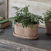 Milston Oval Planter