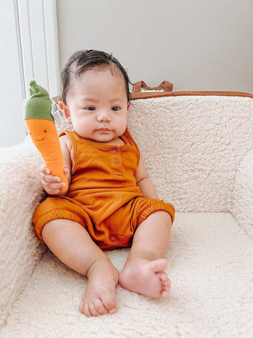 Carrot Veggie Toy