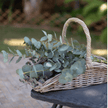 Rattan Garden Trug Basket