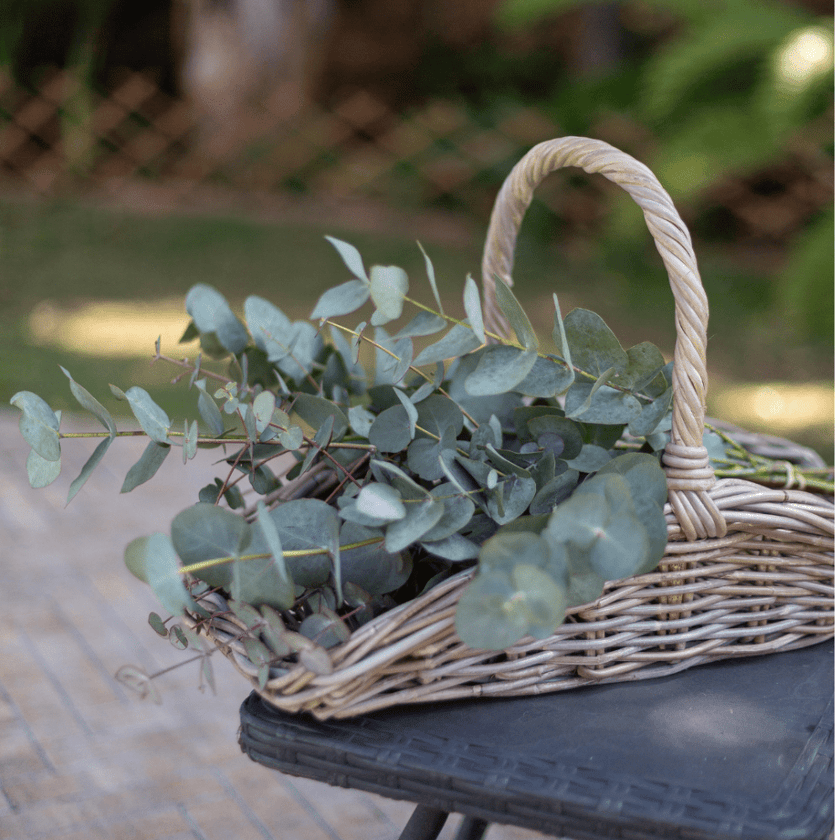 Rattan Garden Trug Basket