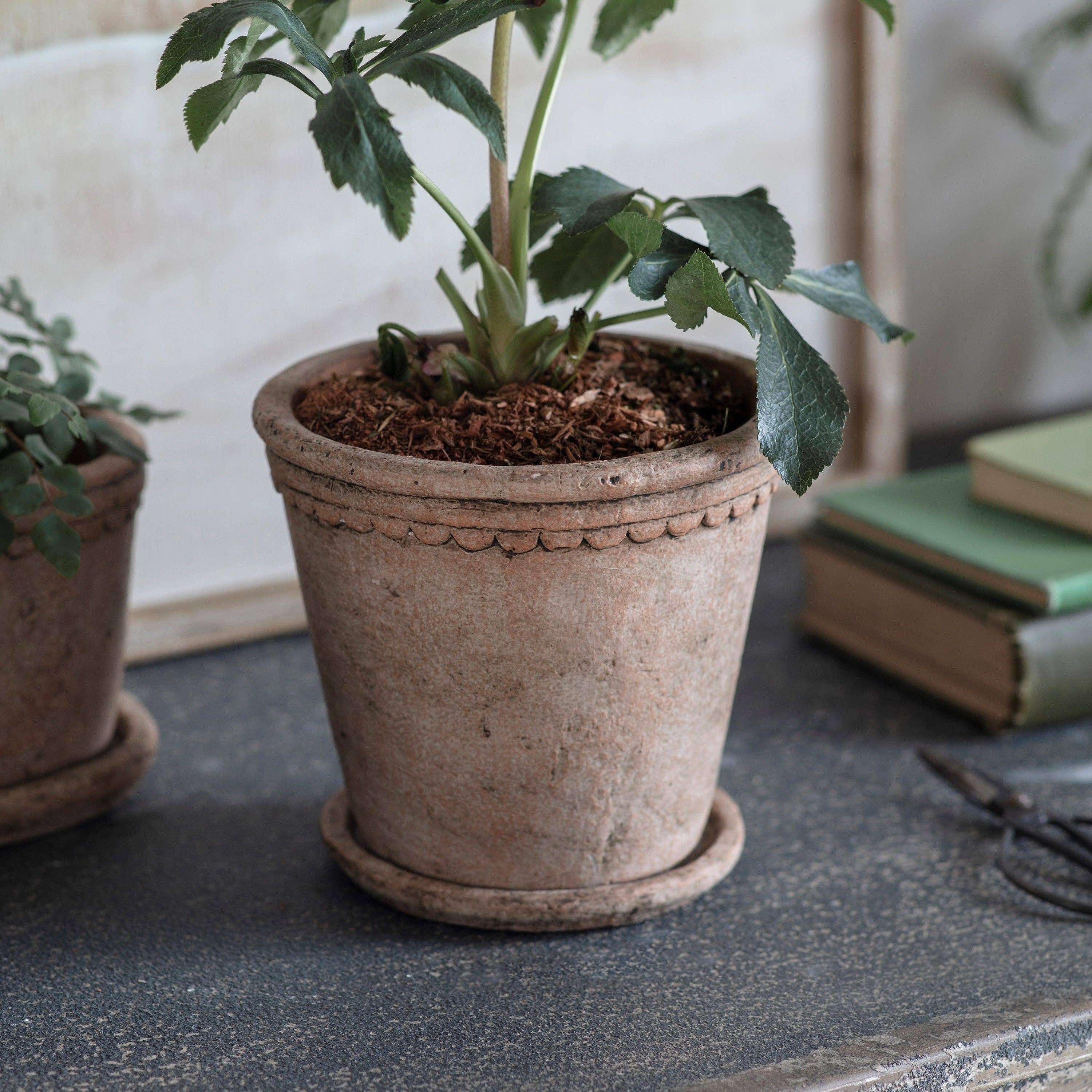 Milston Planter