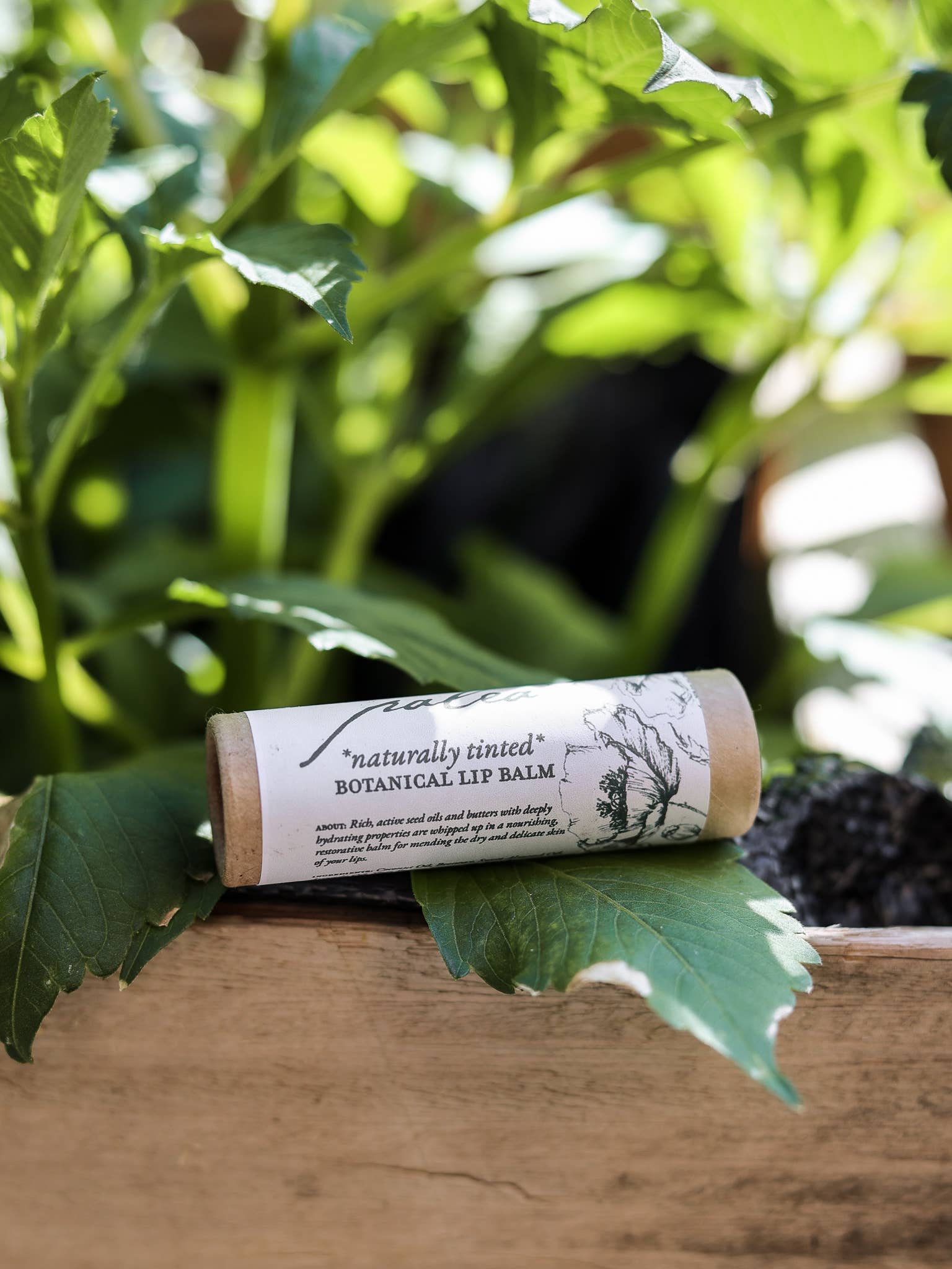 Botanical Lip Balm, naturally tinted, with Whipped Shea Butt