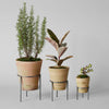 Studio Planter, Greenwash