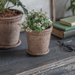 Milston Planter