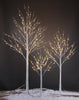 Birch Tree Lights Set of 3 for Christmas Decor, Weddings, and Gif