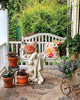 Bricks ‘n Blooms Guide / Beautiful & Easy Care Flower Garden