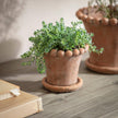 Layton Planter